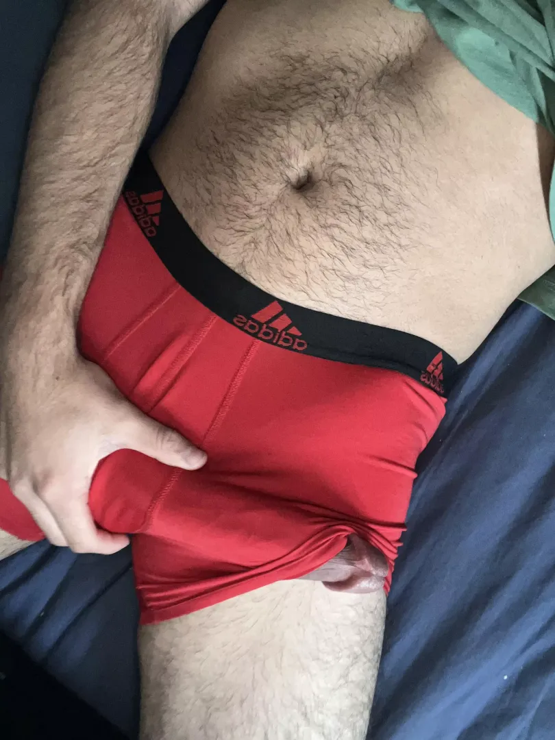 Message me to see more hung dick 👀