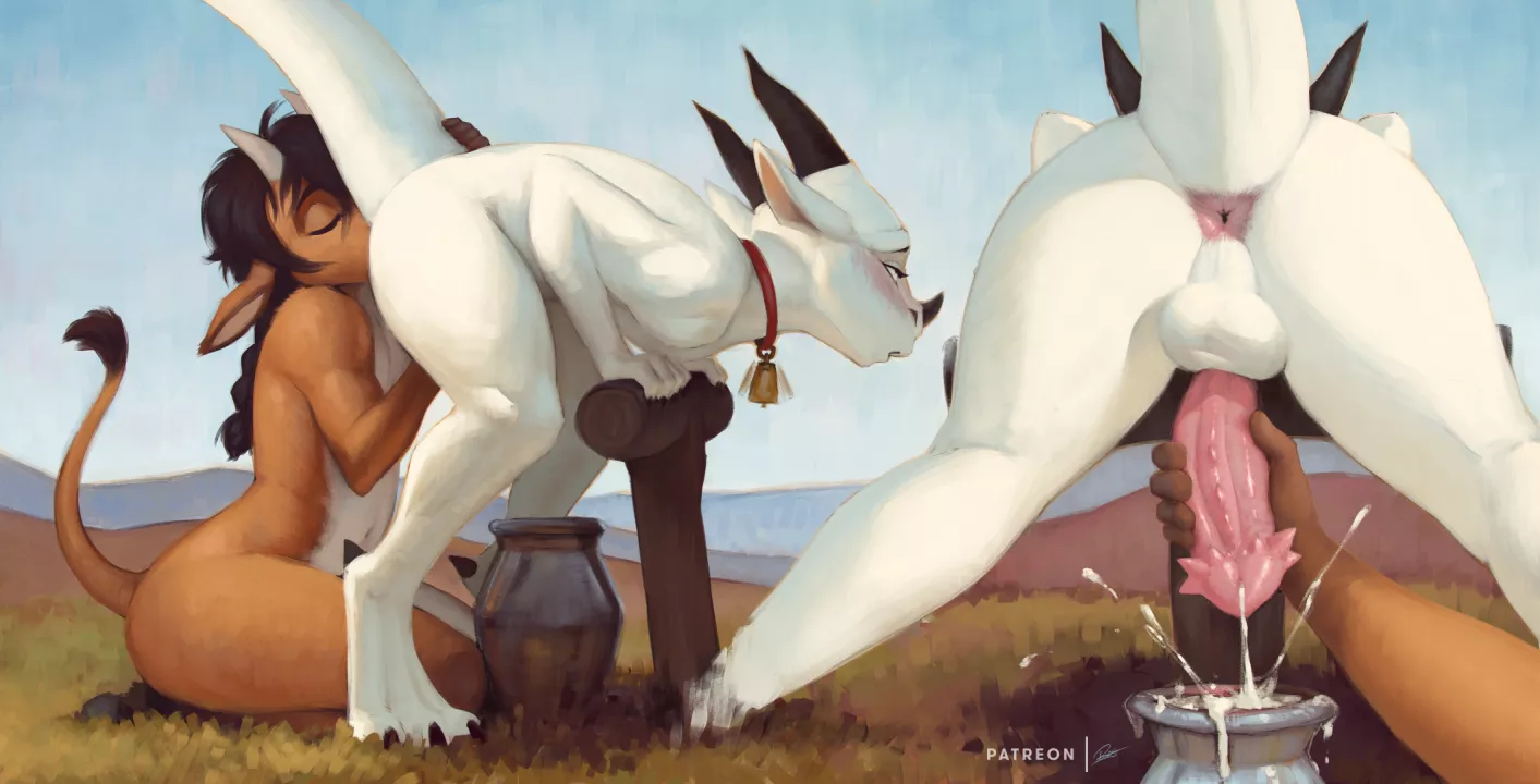 Milking his cow (Rajii)