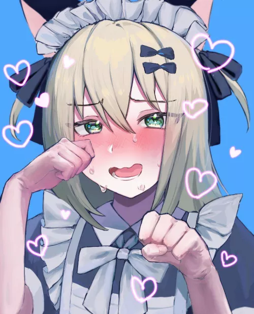 Misaki-kyun