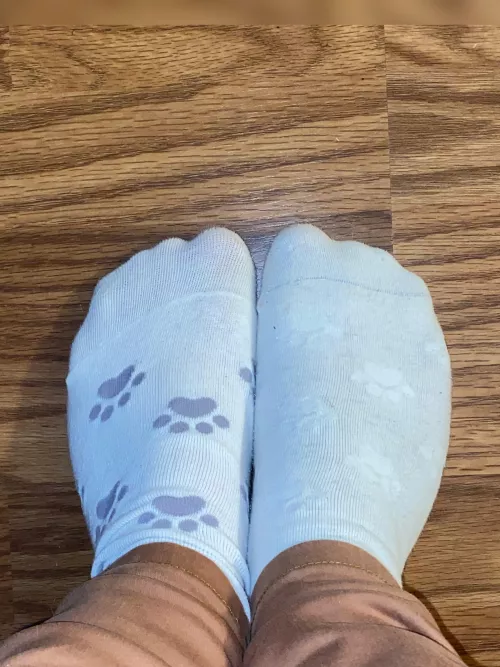Mismatched kitty socks!