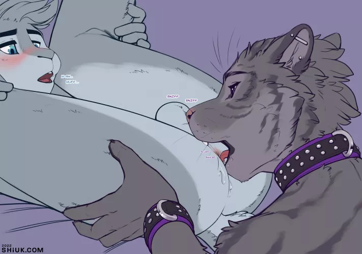Mlem (Shiuk)