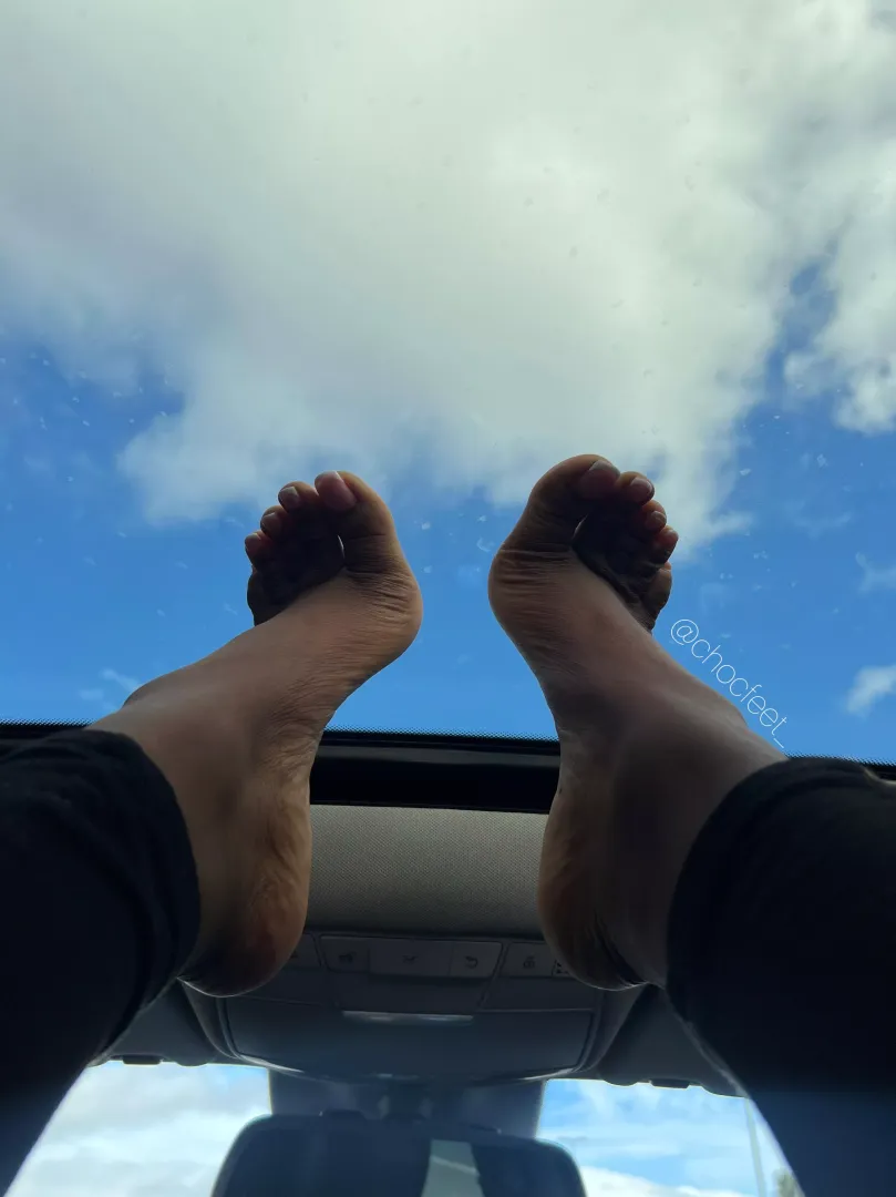 Monday Arches