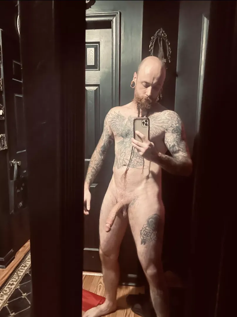 Monday cock