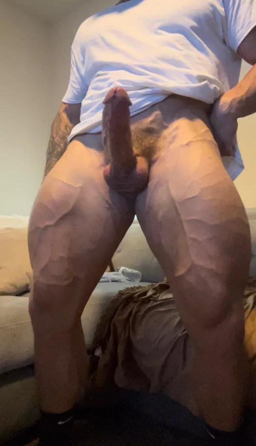 Monster everything