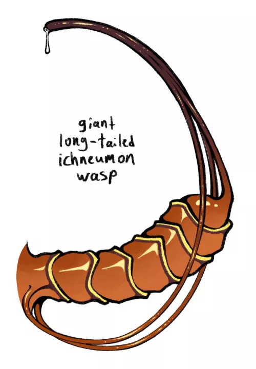Monster Wasp Dick
