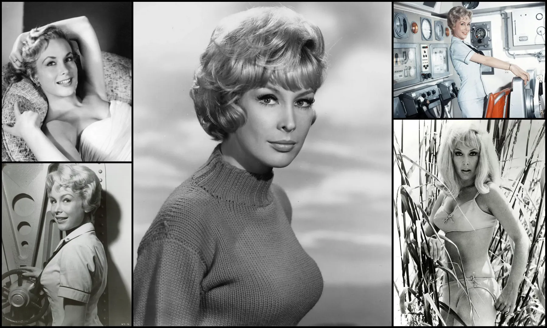 more Barbara Eden