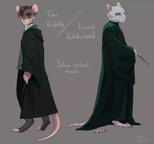 More Harry Potter :p A small ref sheet like thing for Voldy [art by me, @heretic.fox on Instagram]