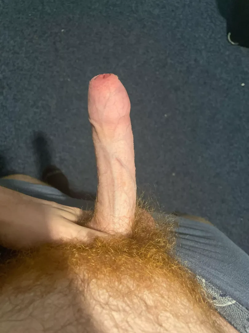 More of my bush