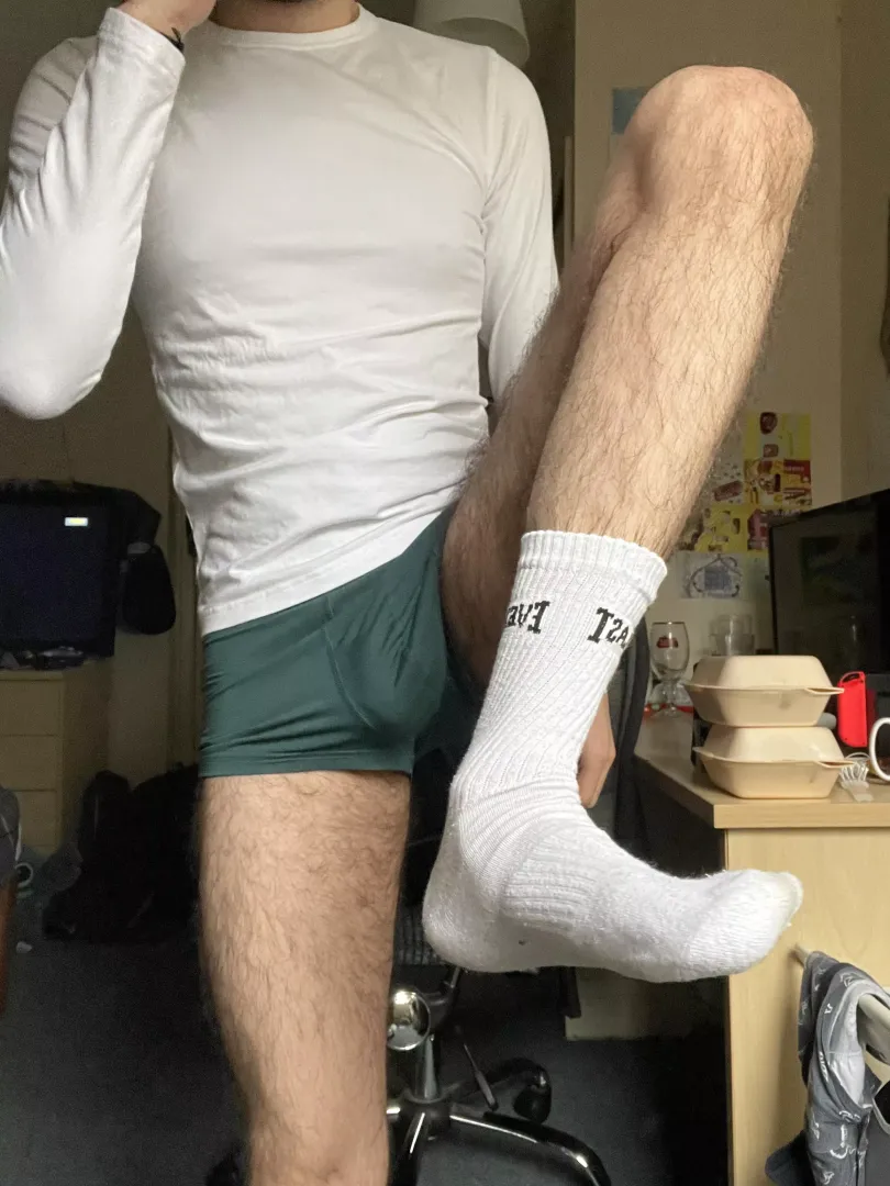 morning 🐷