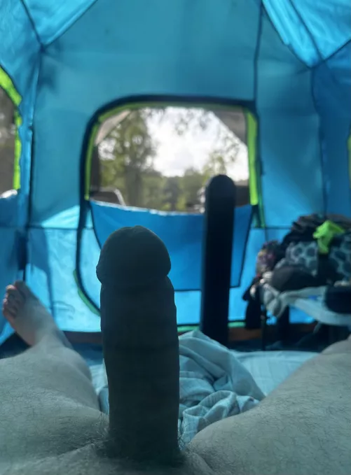 Morning 🪵 at the campsite 🏕️