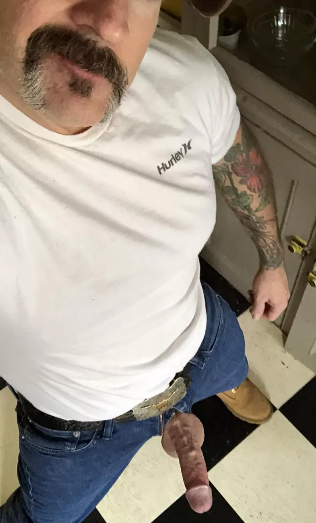 Morning boys!