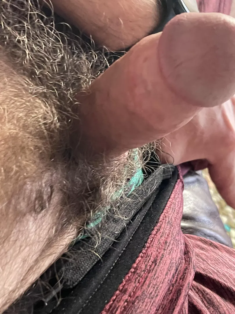 Morning bush