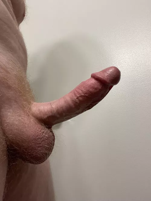 Morning Curve