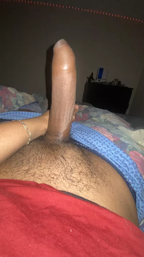 Morning Log