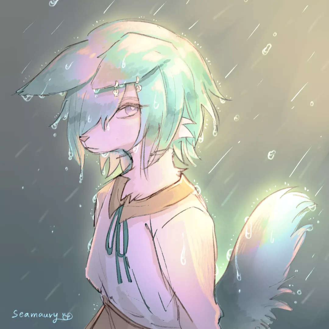 Morning Rain
