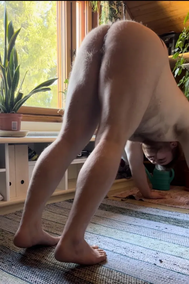 Morning stretch! The dog is my favorite🐷
