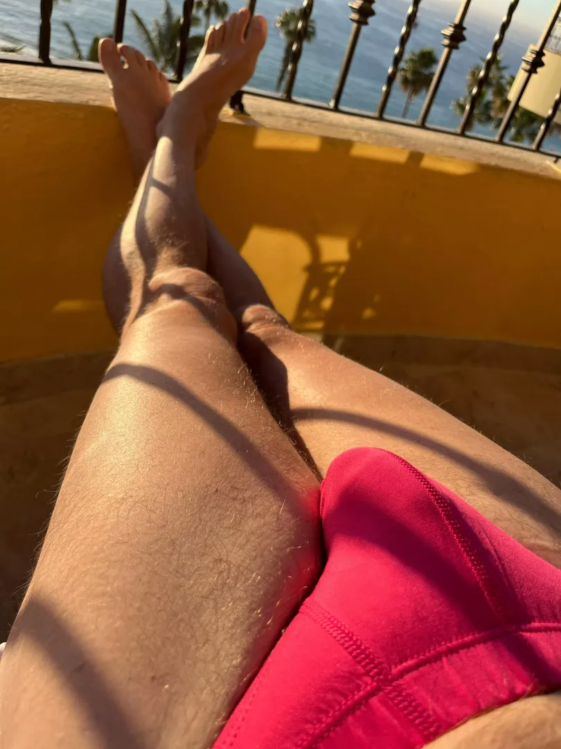 morning sun