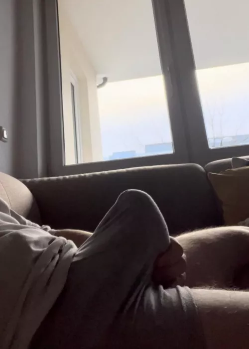 morning wood