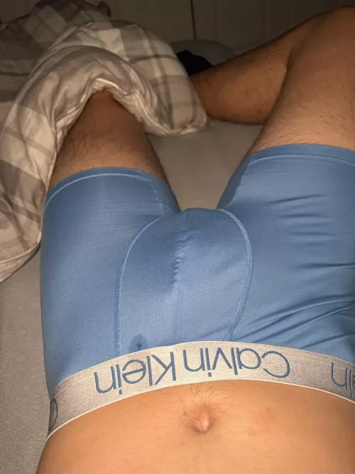 morning wood
