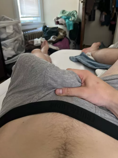 Morning wood