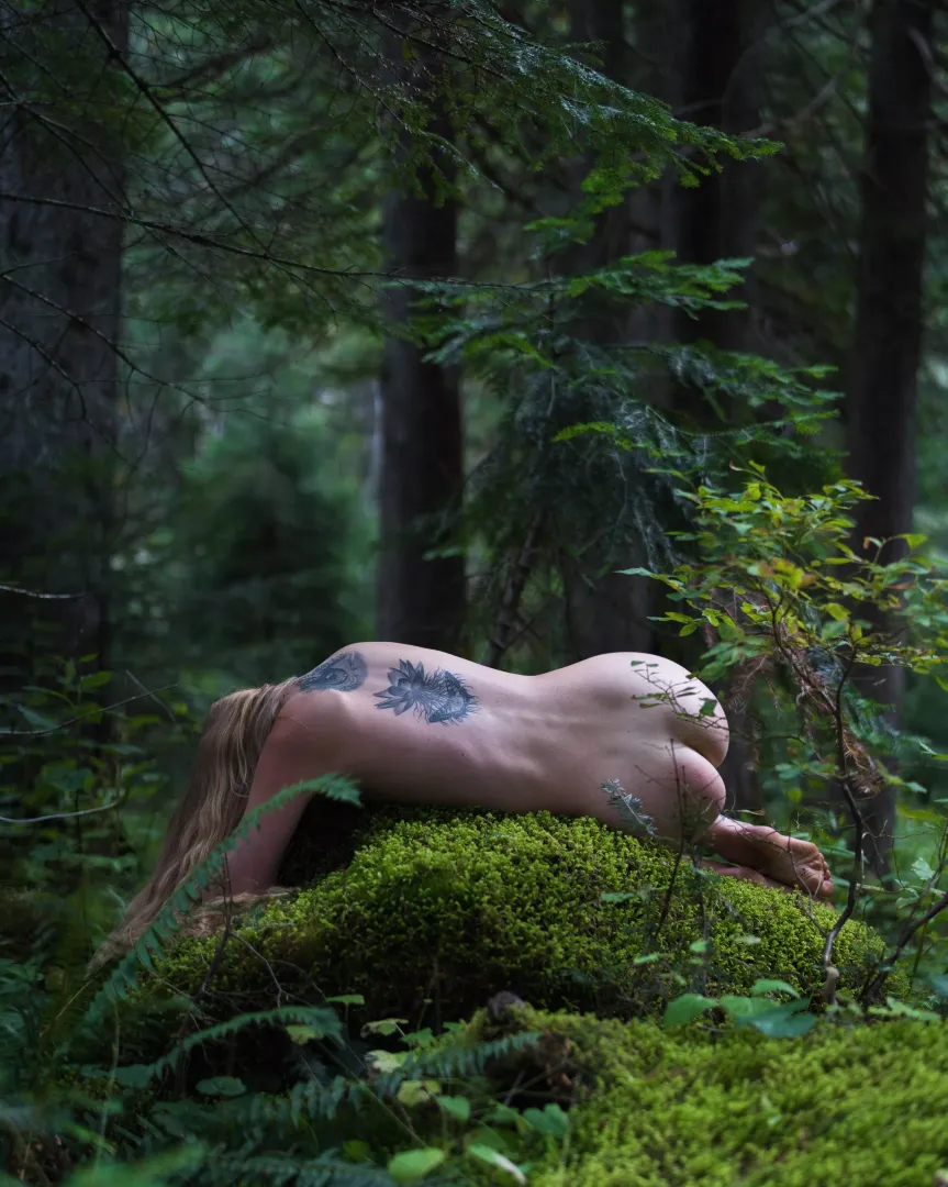 Moss bed