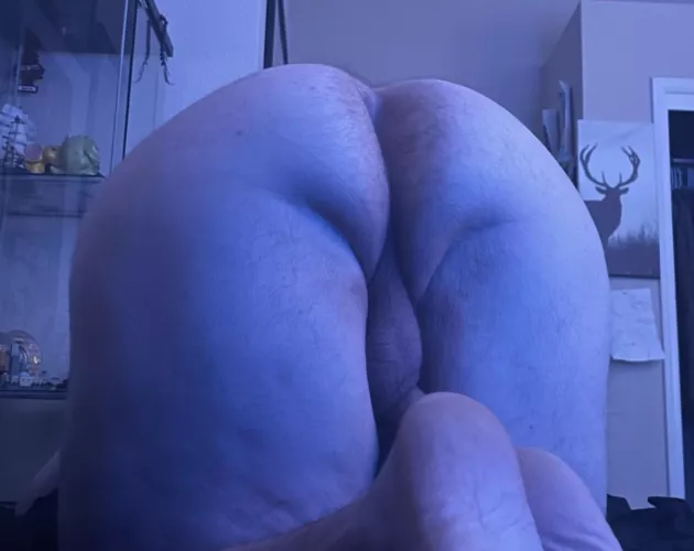 Mount me daddy?
