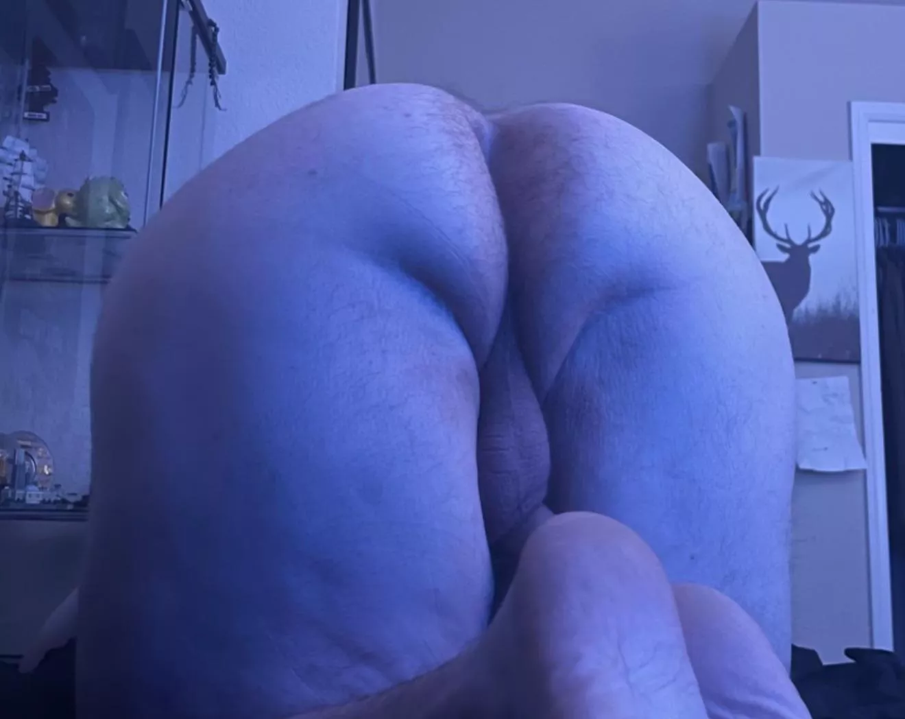 Mount me daddy?