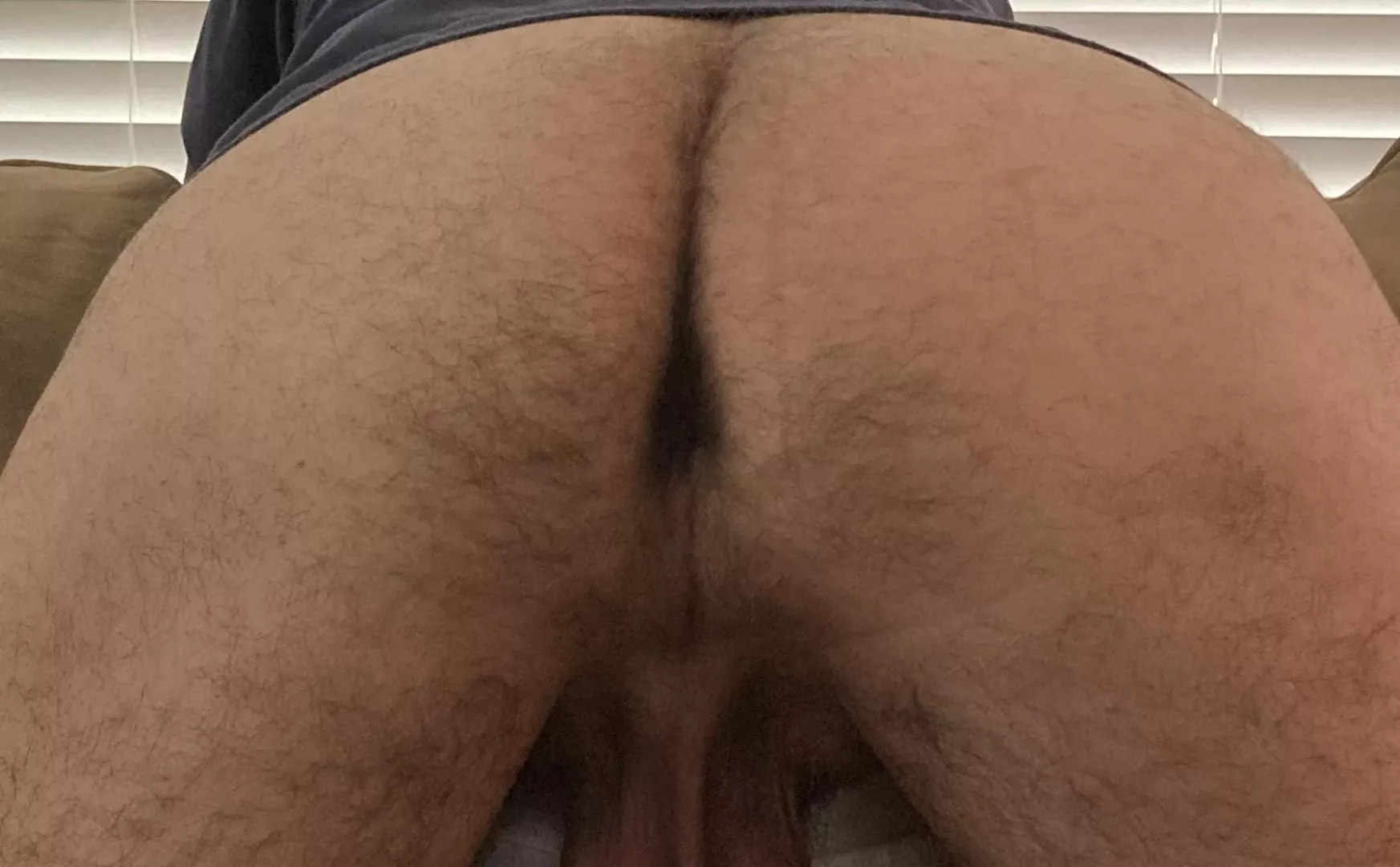 My ass