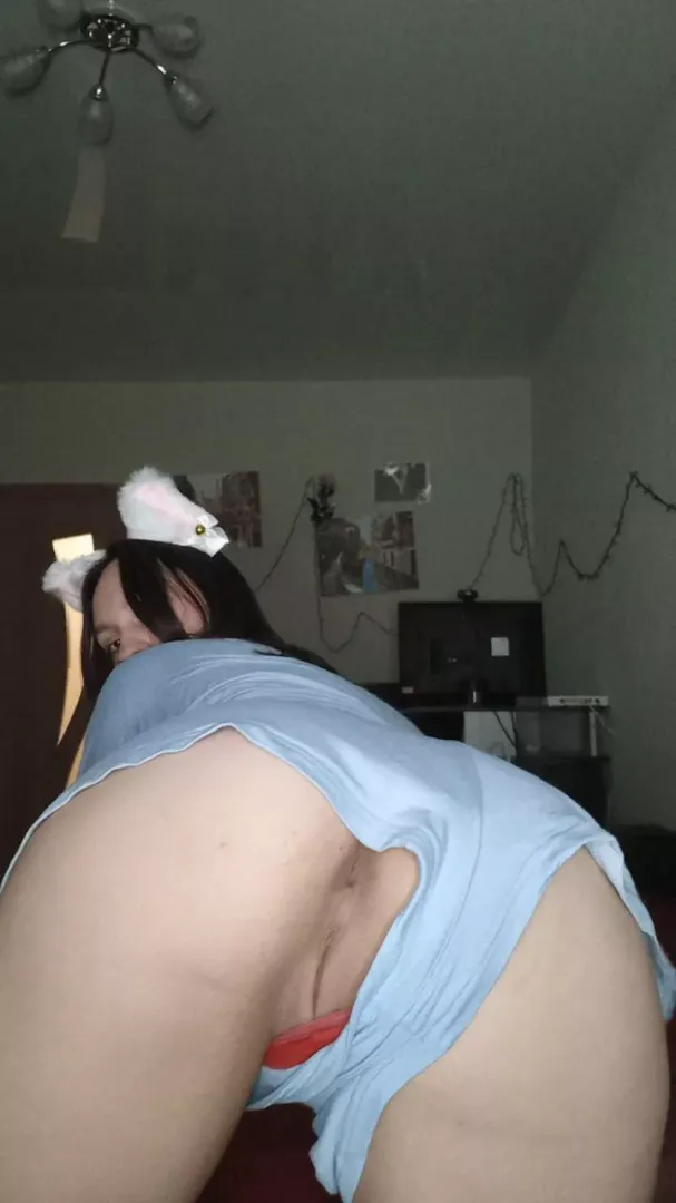 My ass for you