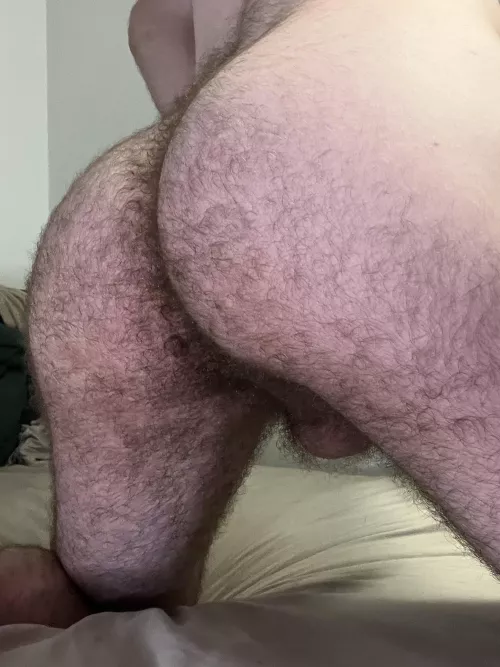 My ass hair is so soft 