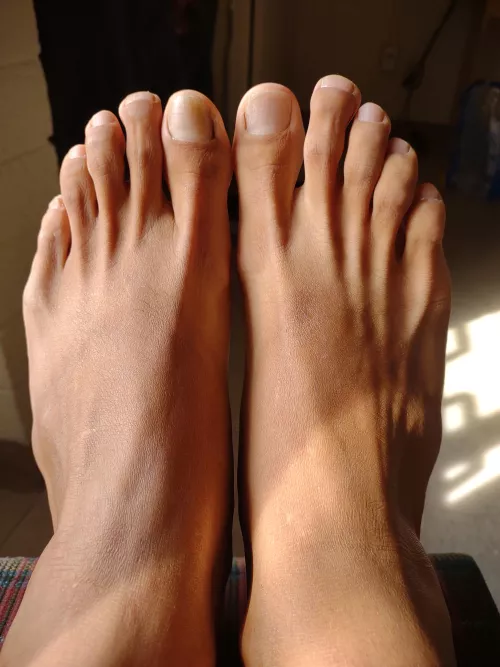 my bare feet