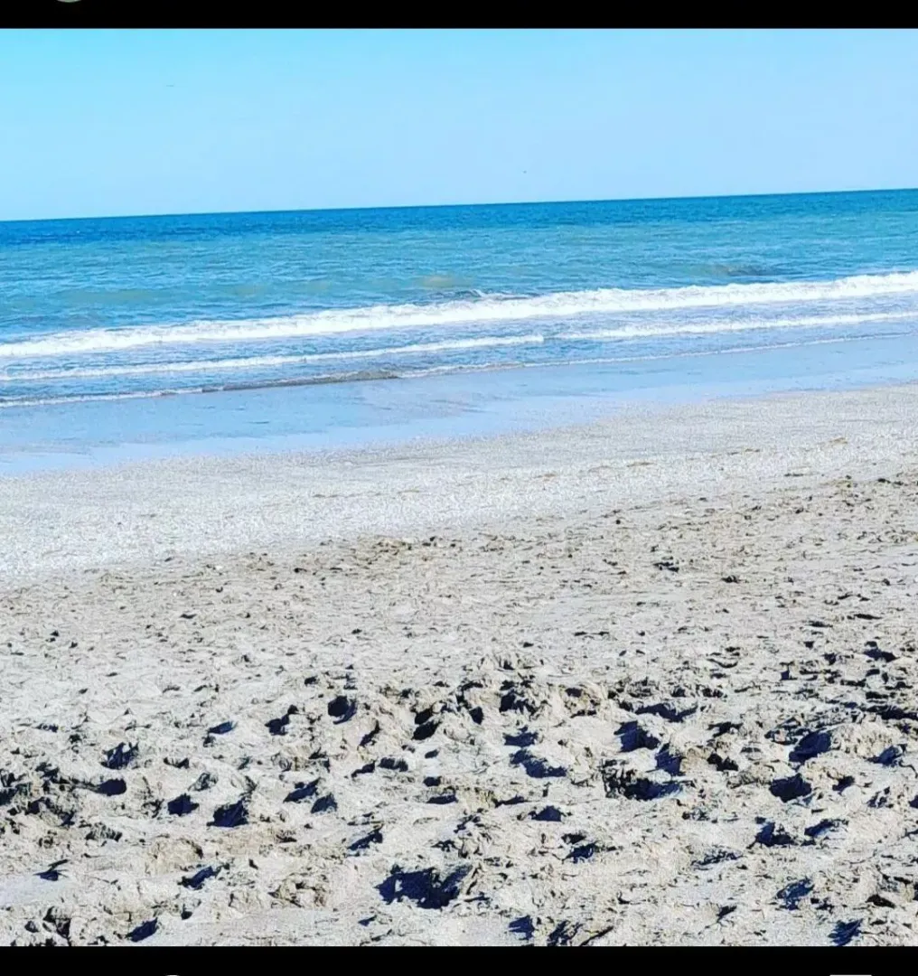my beautiful beach 