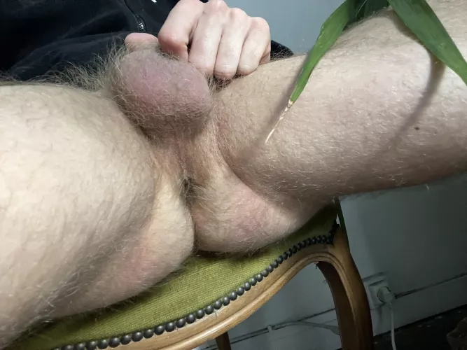 My blond furry butt