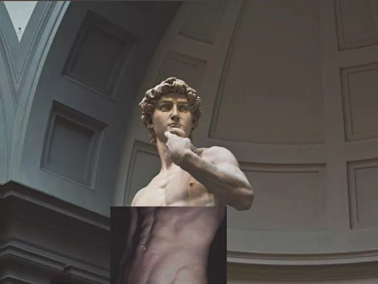 my body x david