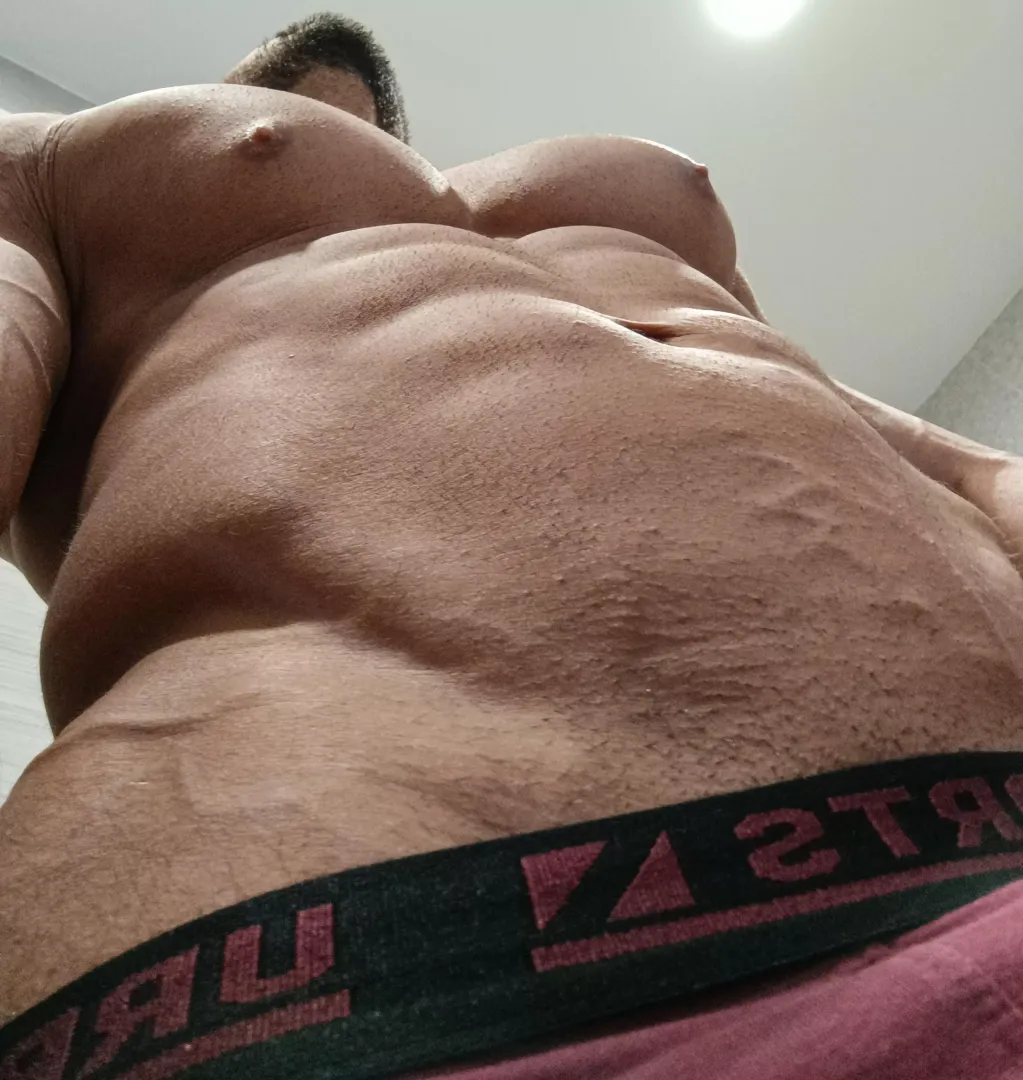 My boxers