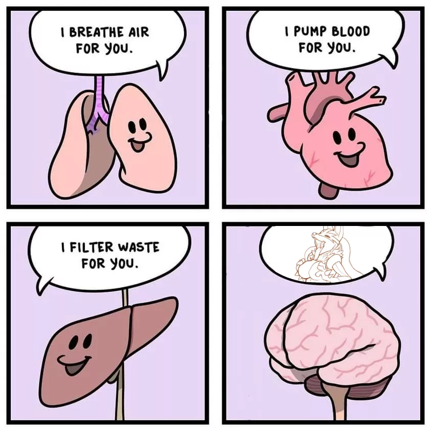 My brain
