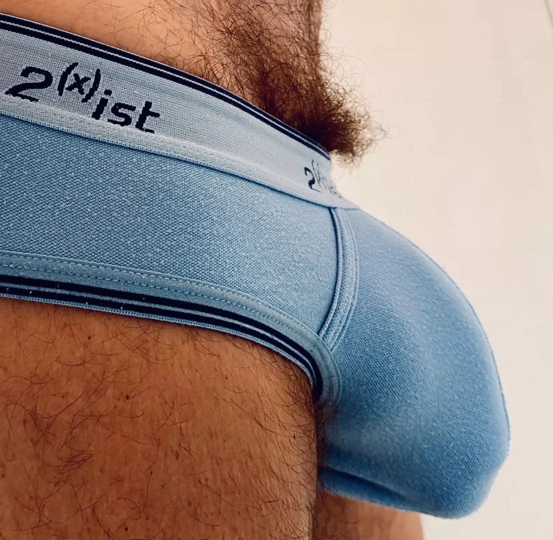 My briefs