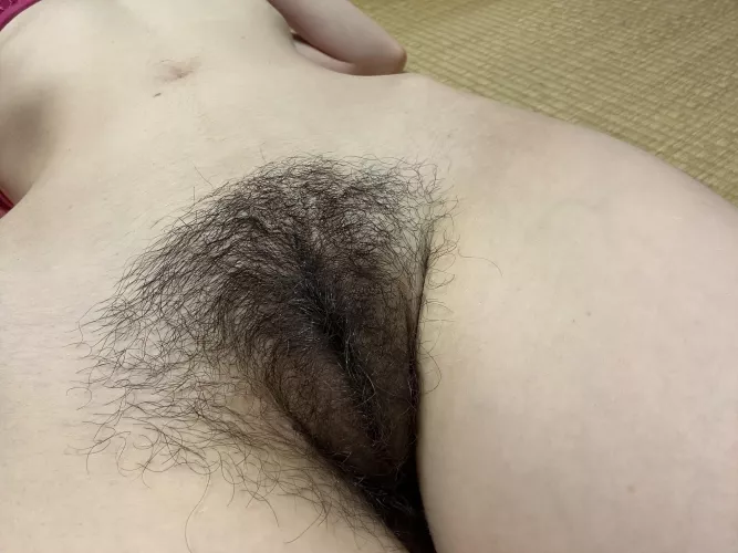My bush is Getting longer