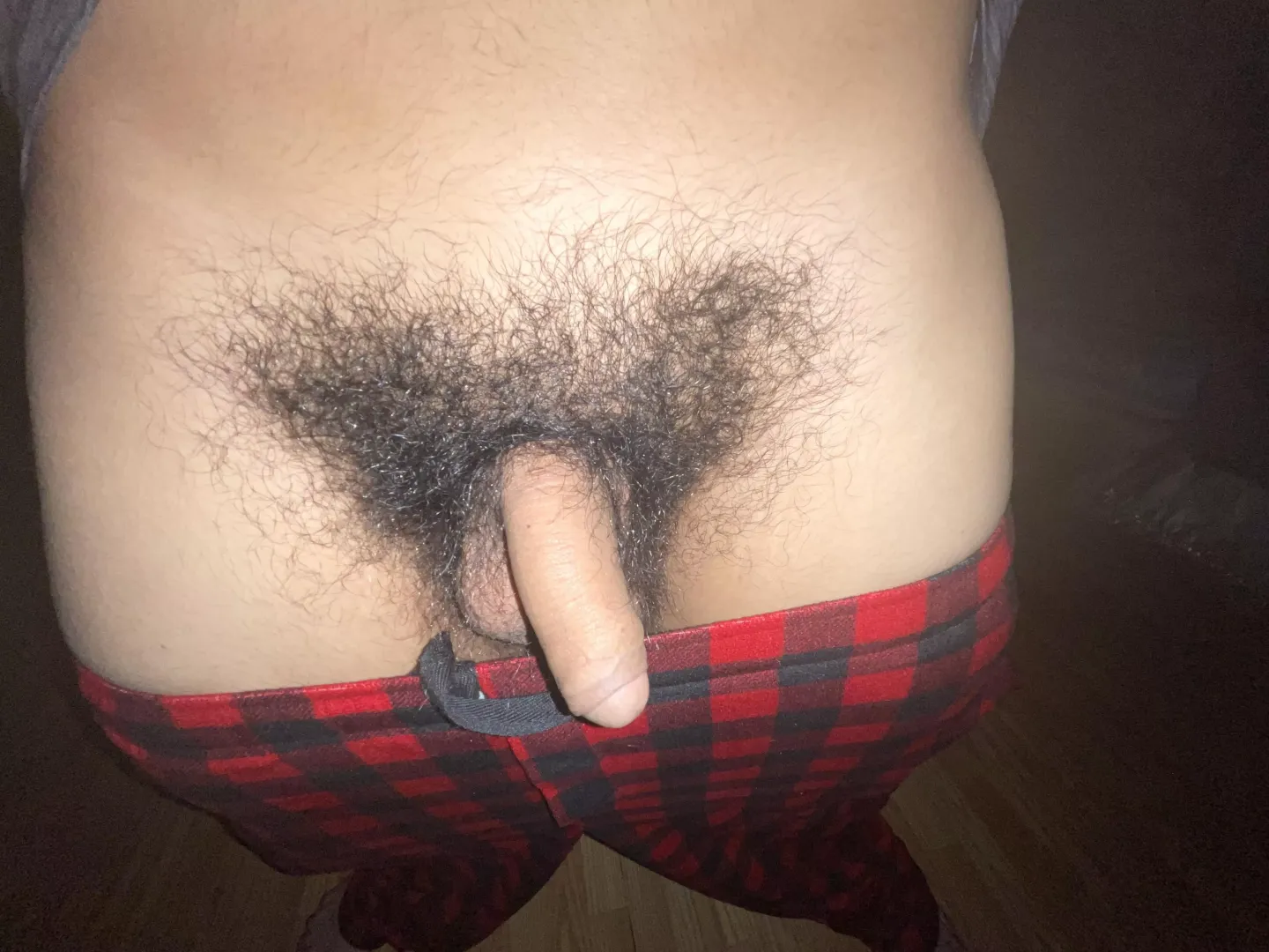 My bush just keeps growing