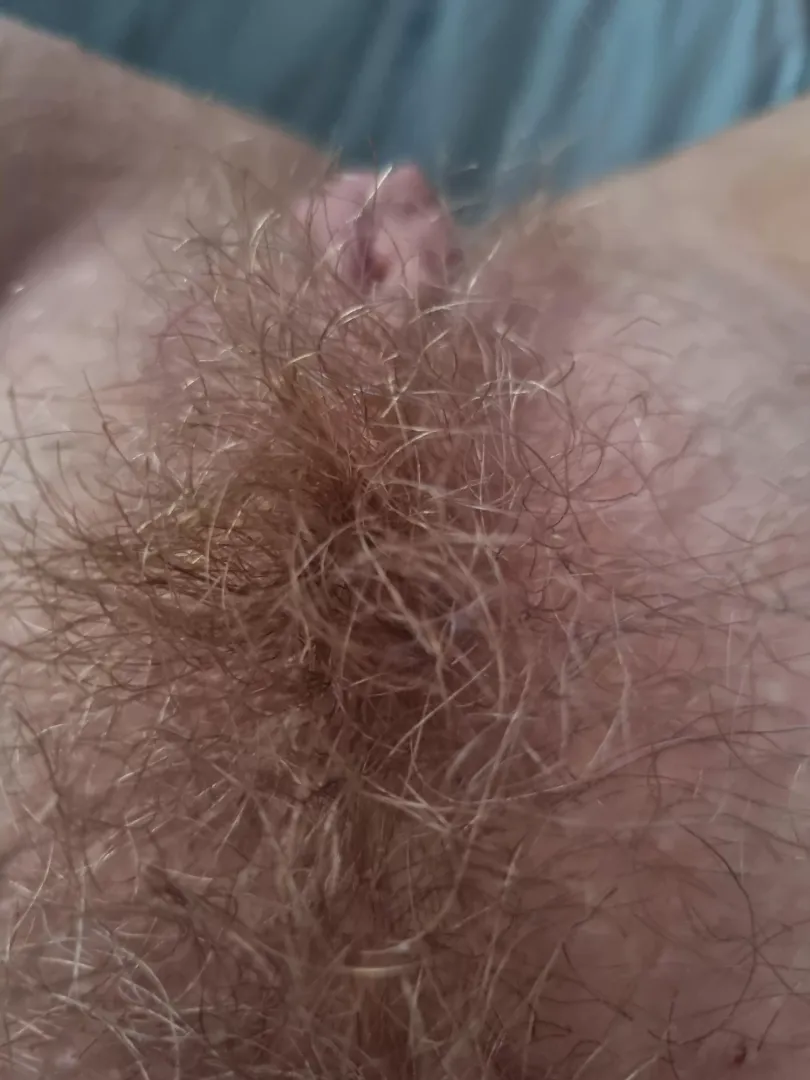 My Bush update.