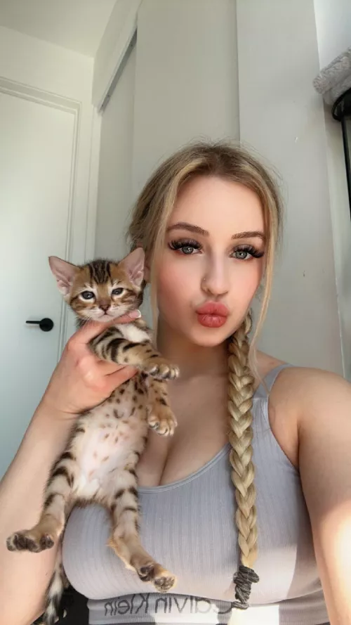My cat say HI