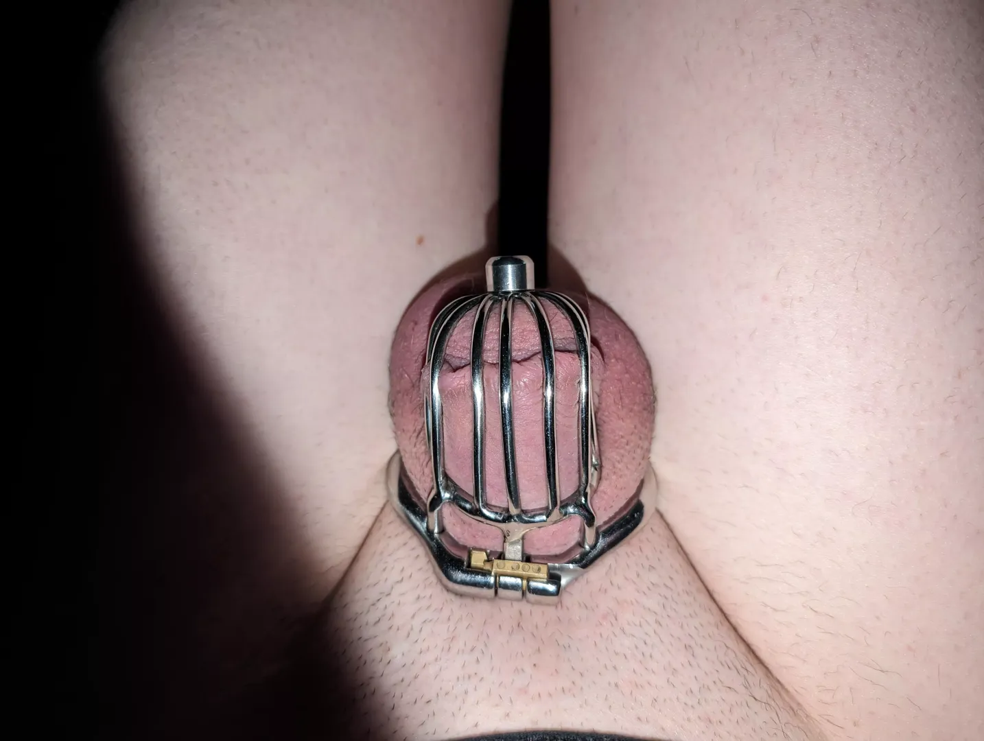 My cock in my favorite chastity cage! Not as tight anymore though <3