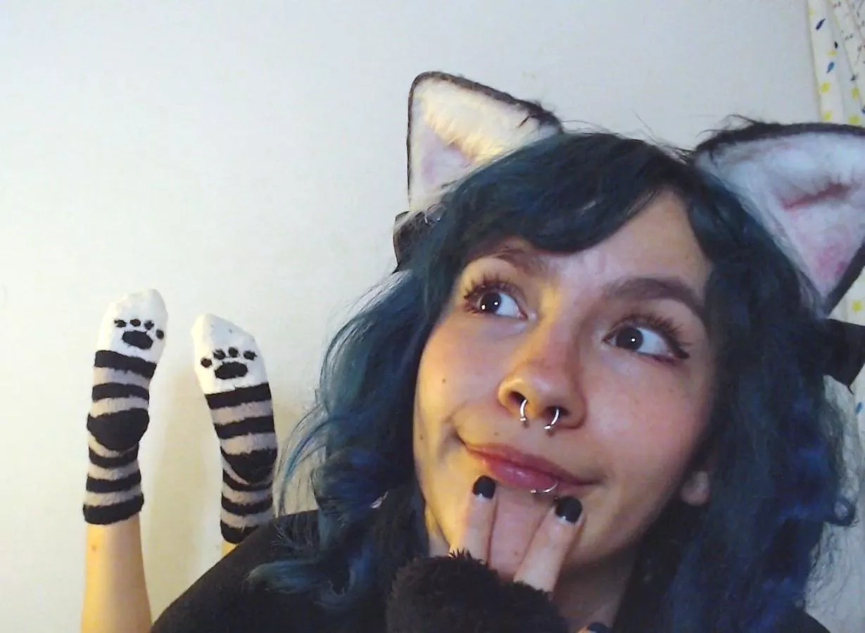 My cute paws socks