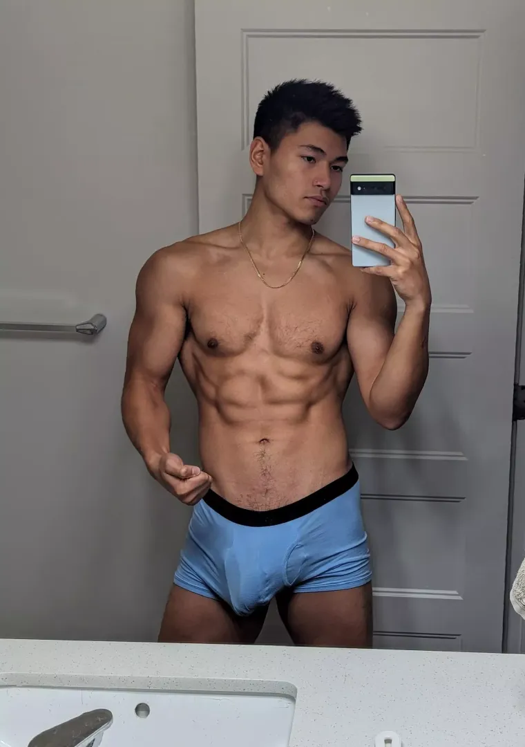 my favorite briefs