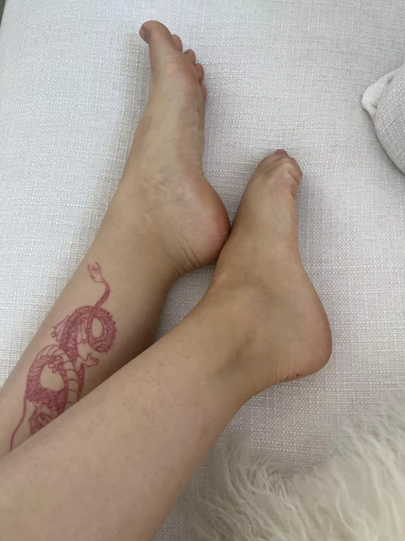 My feet want love
