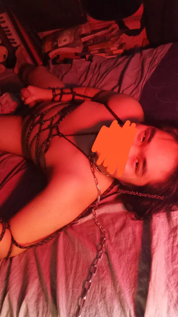 [M]y first ever post, please be kind. Photo after my first hour on a leash