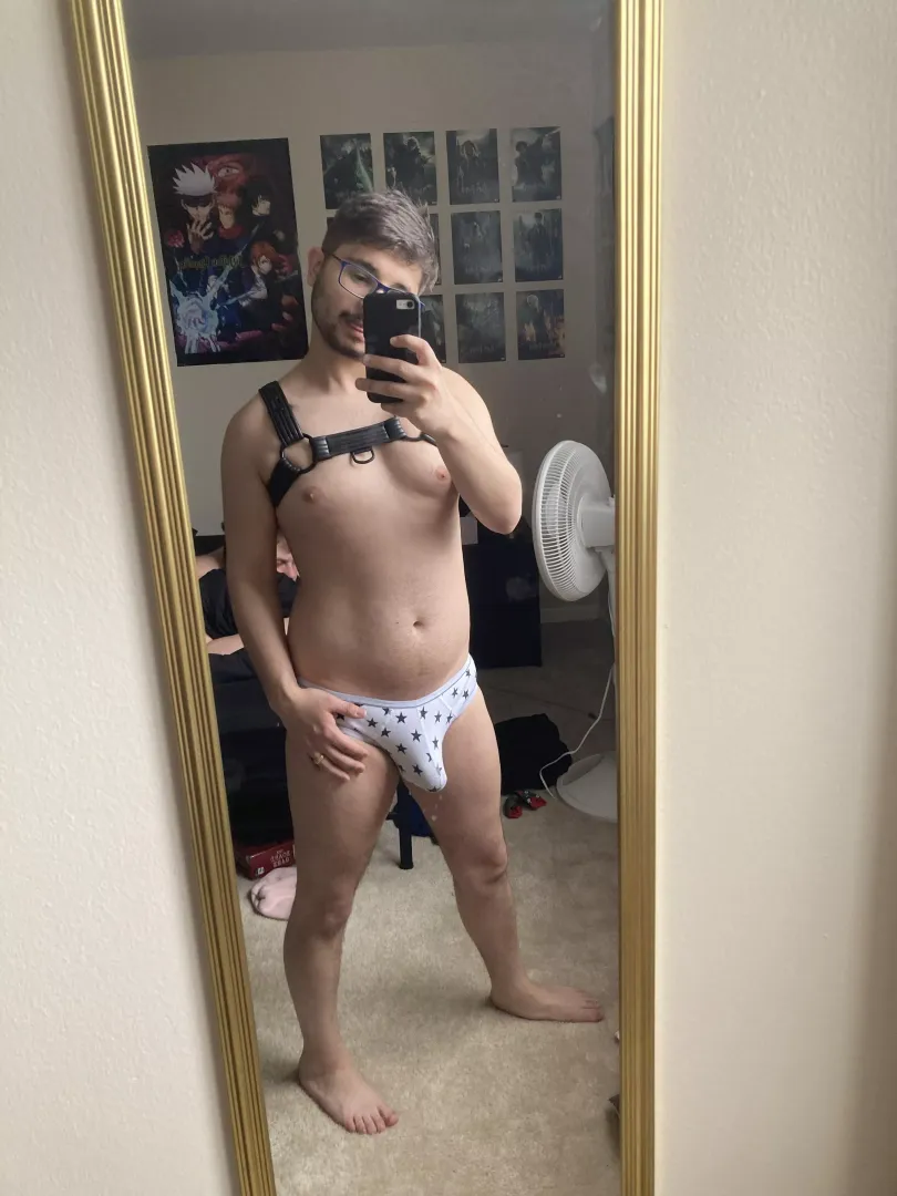 My first harness! Can’t wait to break it in 😉