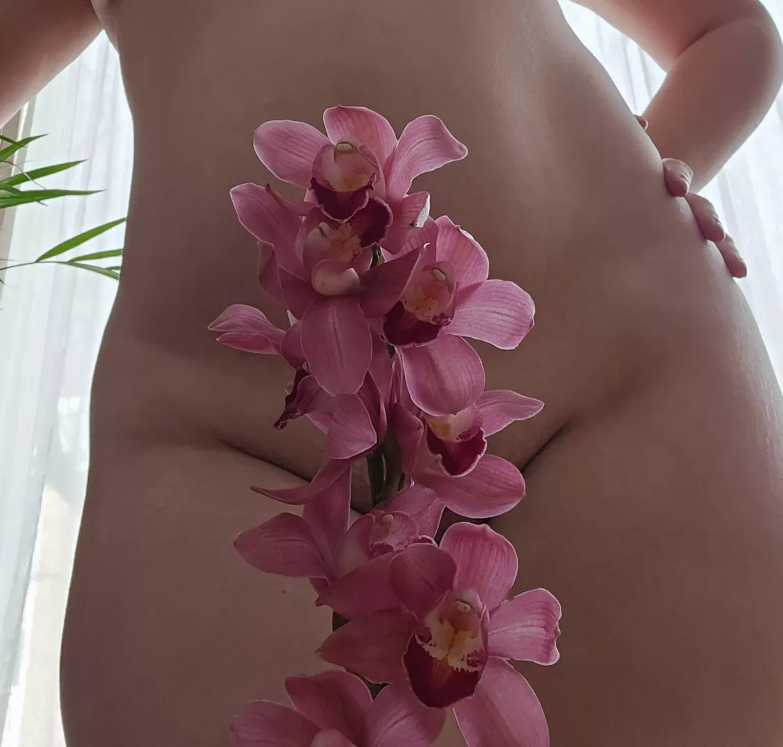 My flower