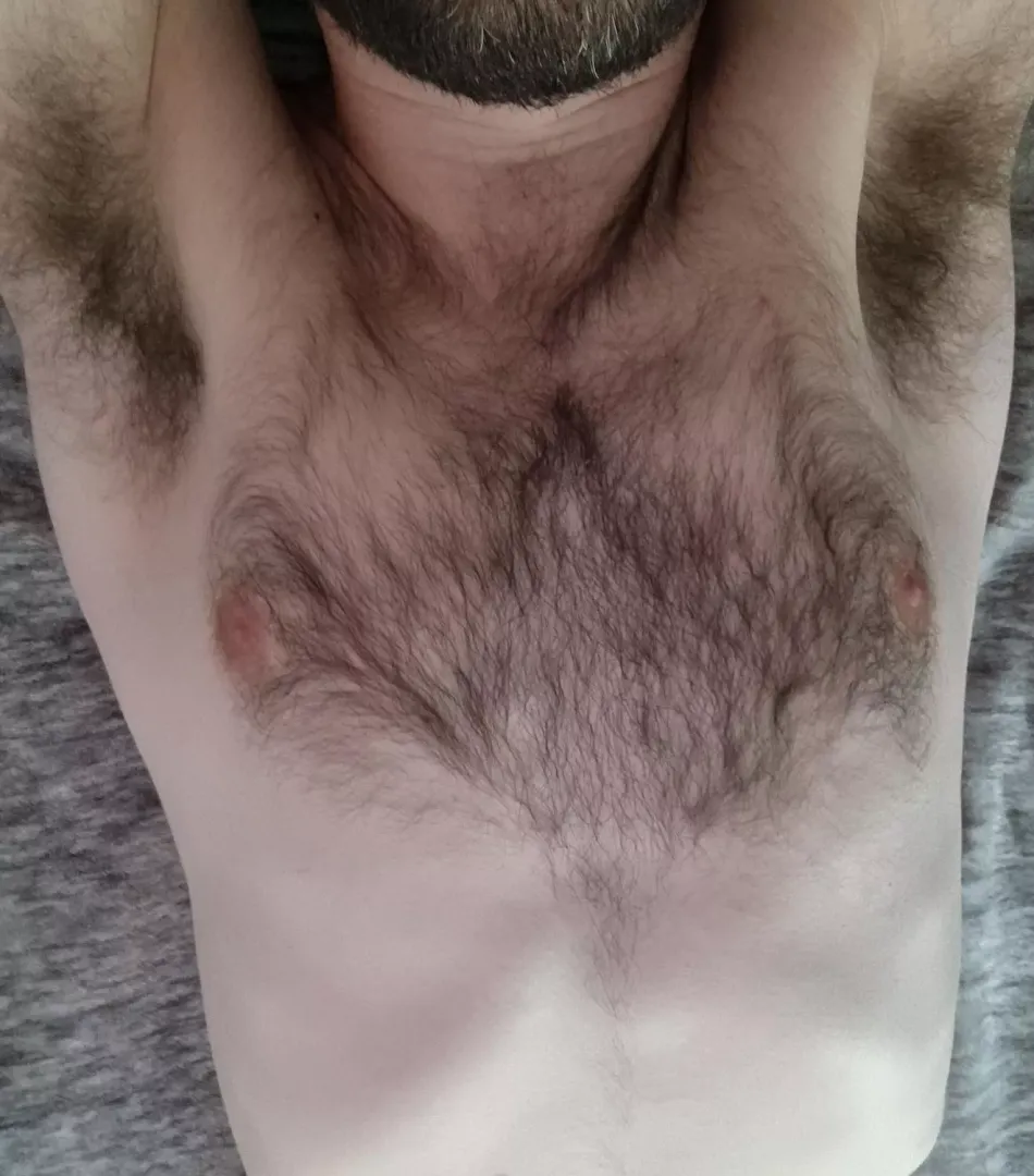 My fur this morning