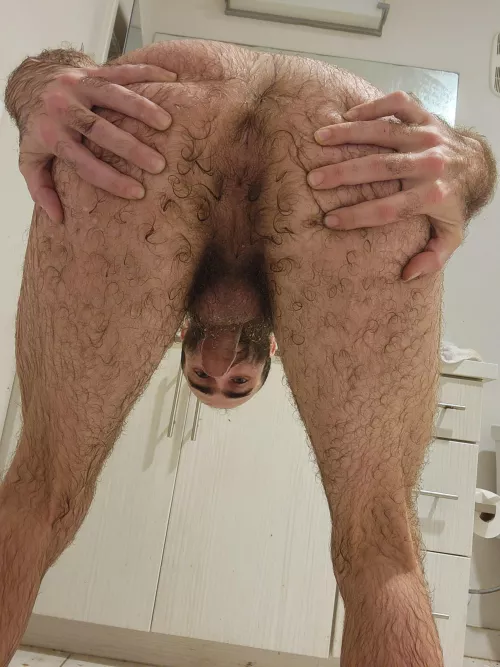 my hairy ass spred for you!